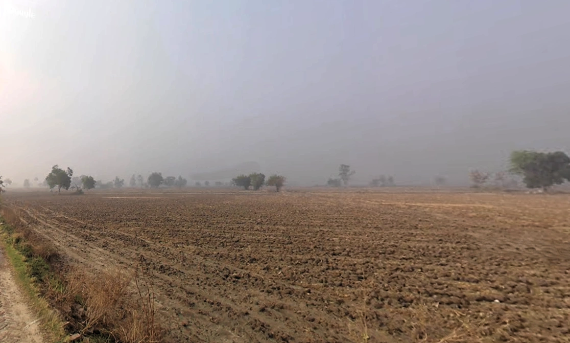 Sampla, Haryana 124501, India