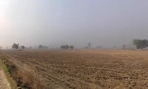 Sampla, Haryana 124501, India preview 2
