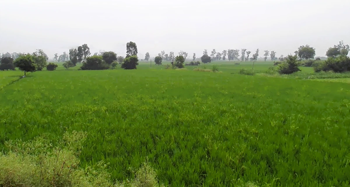 Kurukshetra, Haryana, India