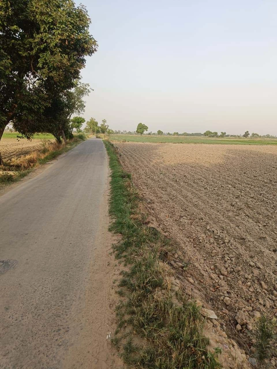 Tentigaon, Uttar Pradesh, India