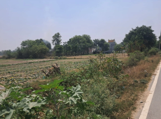 Banga, Punjab 144505, India preview 3