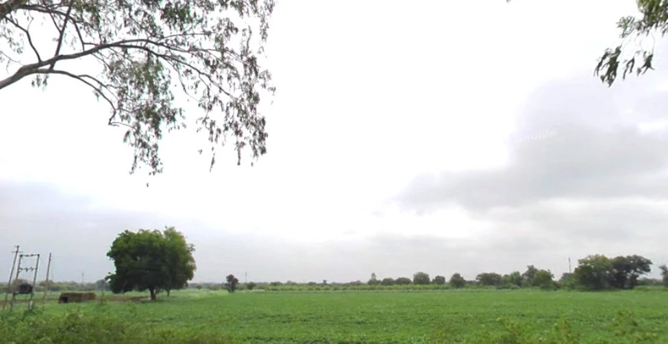 Lohar Pipalya, Madhya Pradesh 455001, India