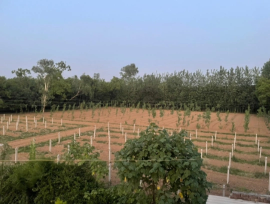 VHM7+9M Nandi Firozpur, Saharanpur, Uttar Pradesh, India preview 2