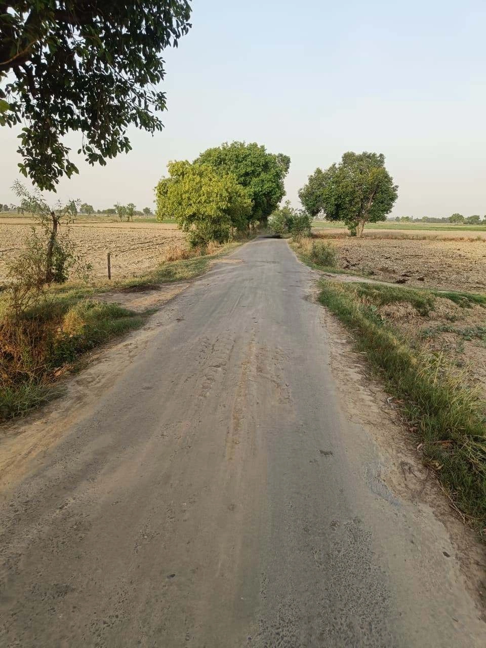 Aloda, Rajasthan 332602, India preview 3