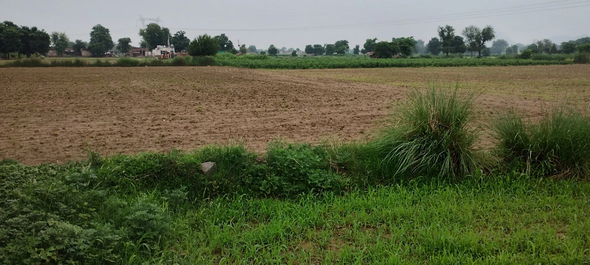 Ronpur, Rajasthan, India