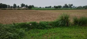 Ronpur, Rajasthan, India preview 3