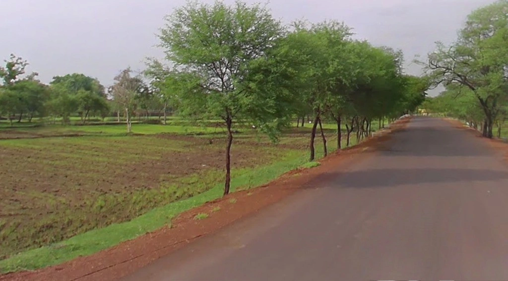 Pond, Chhattisgarh 493661, India