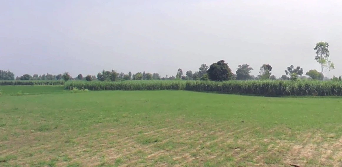 Alaumrod, Madhya Pradesh 465001, India