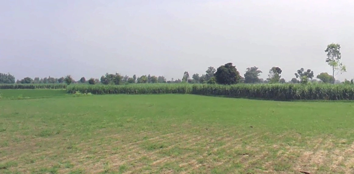 Alaumrod, Madhya Pradesh 465001, India