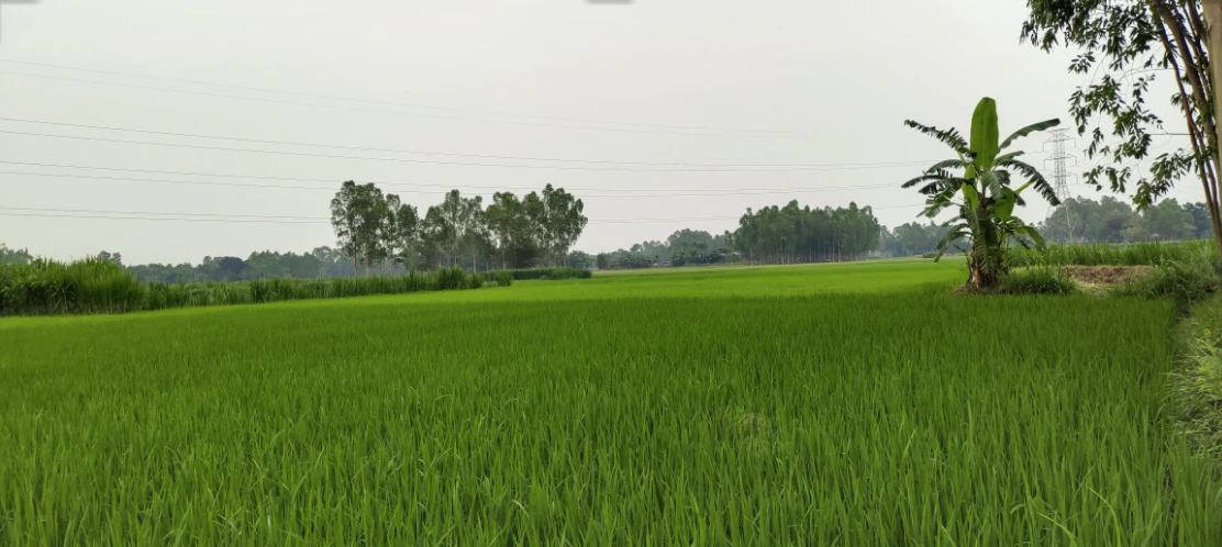 8M8M+8PR, Salempur Jaat, Uttar Pradesh 203203, India