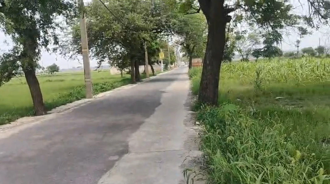 Rasulpur Rd, Old Delhi, Rasulpur, Rani Khera, Delhi, 110081, India
