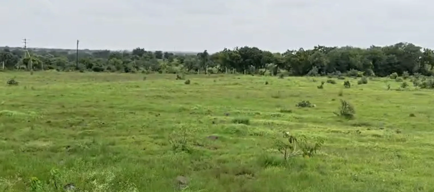 CVWQ+XQ Habib saleem land, Vikarabad, Kojjavanampalle, Telangana 501102, India