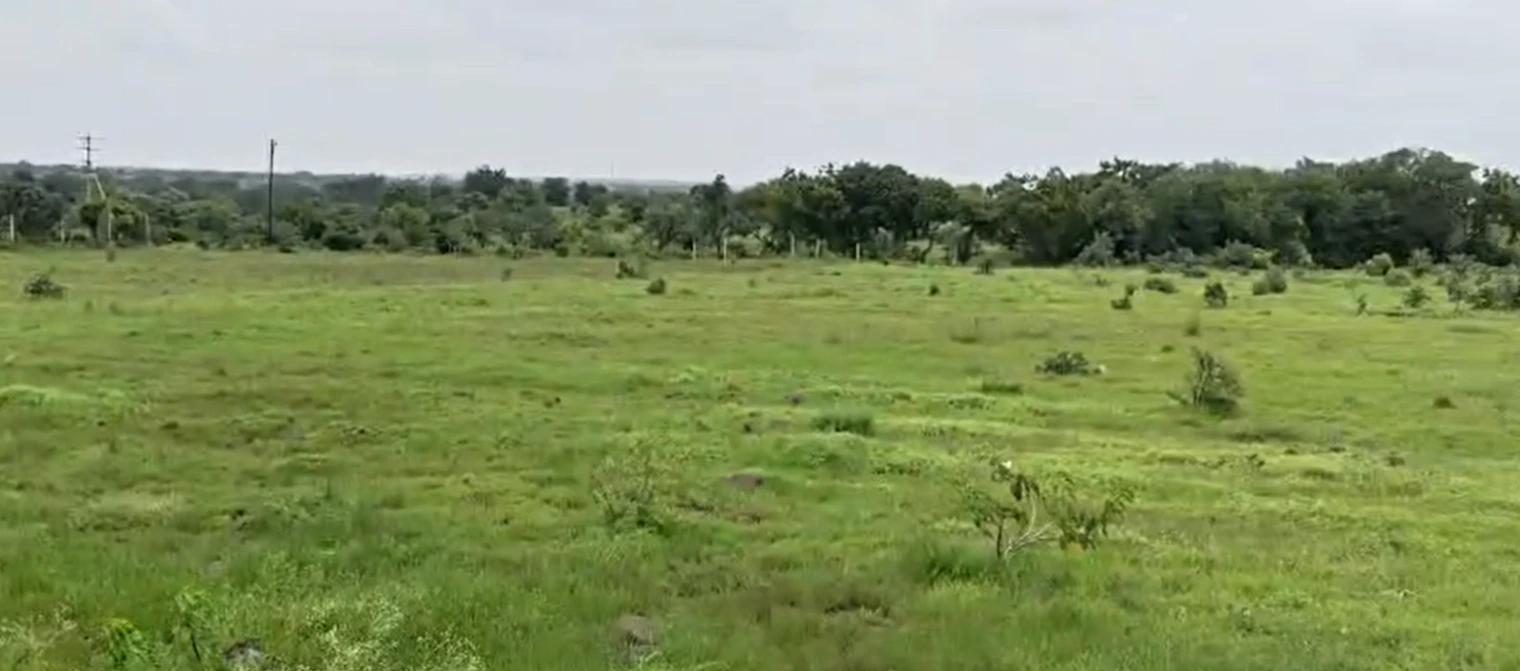 CVWQ+XQ Habib saleem land, Vikarabad, Kojjavanampalle, Telangana 501102, India - Photo 2