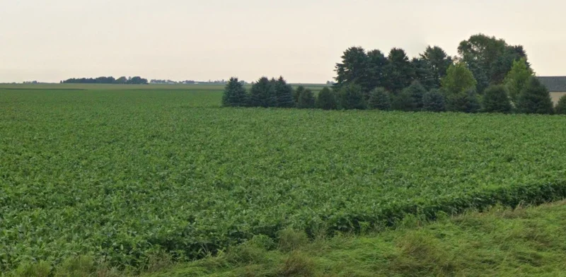 Sasabarad, Madhya Pradesh 451228, India preview 2