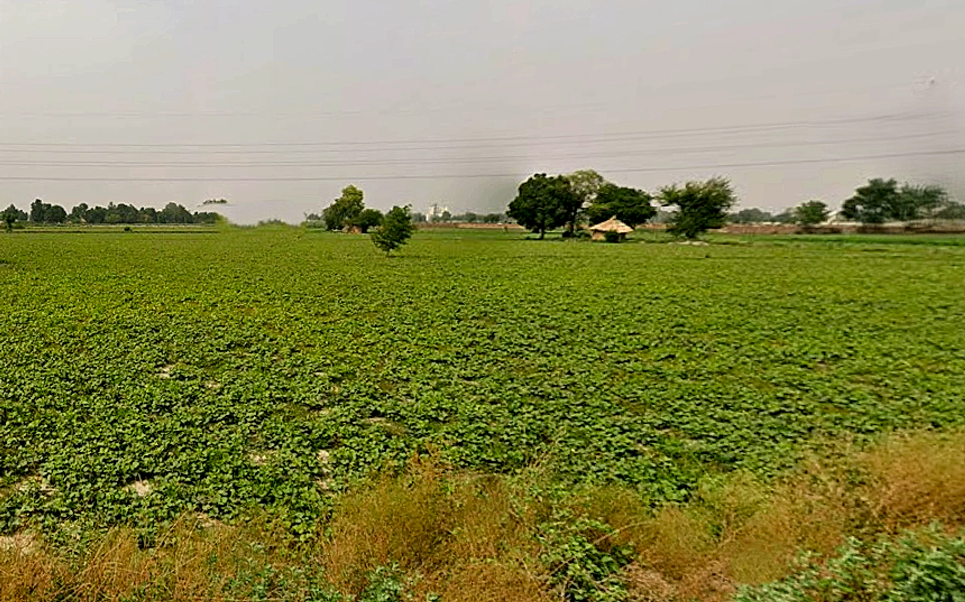 HJ5C+8GM, Chhatikara, Uttar Pradesh 281504, India