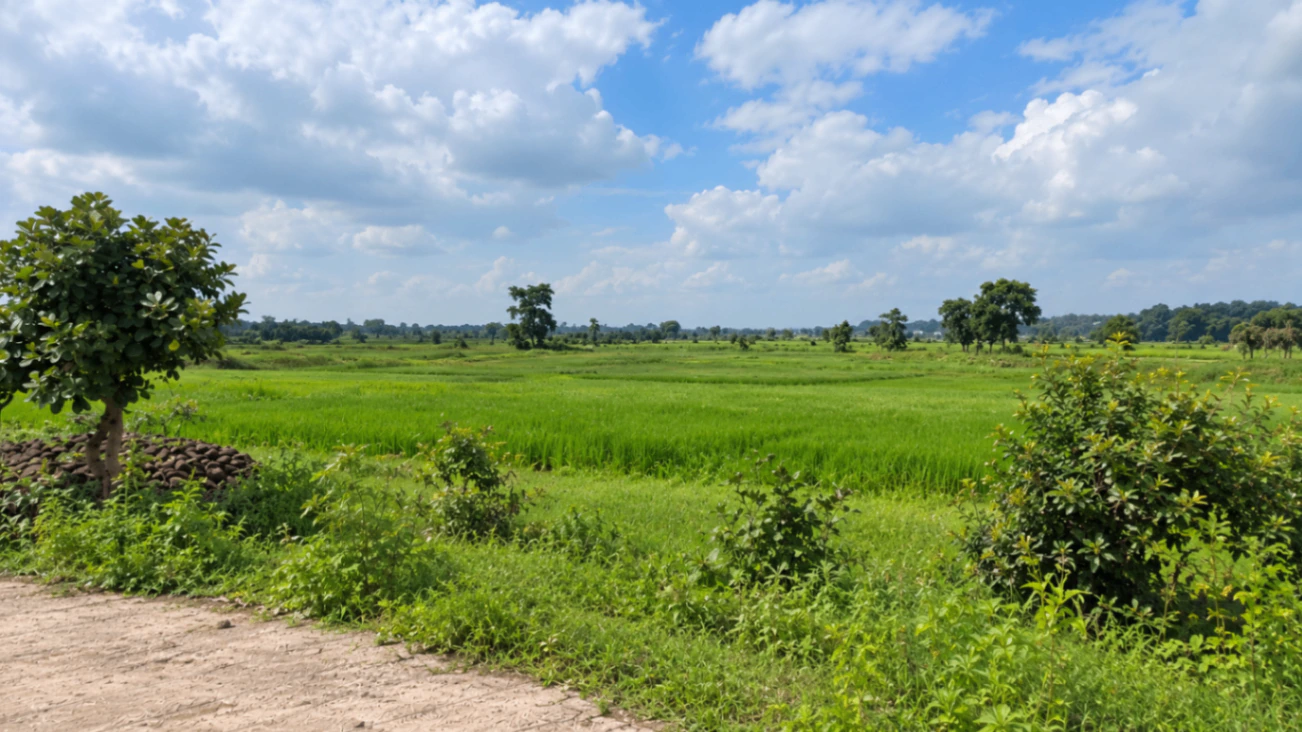 Purani Chhawani, Gwalior, Madhya Pradesh 474010, India - Photo 2