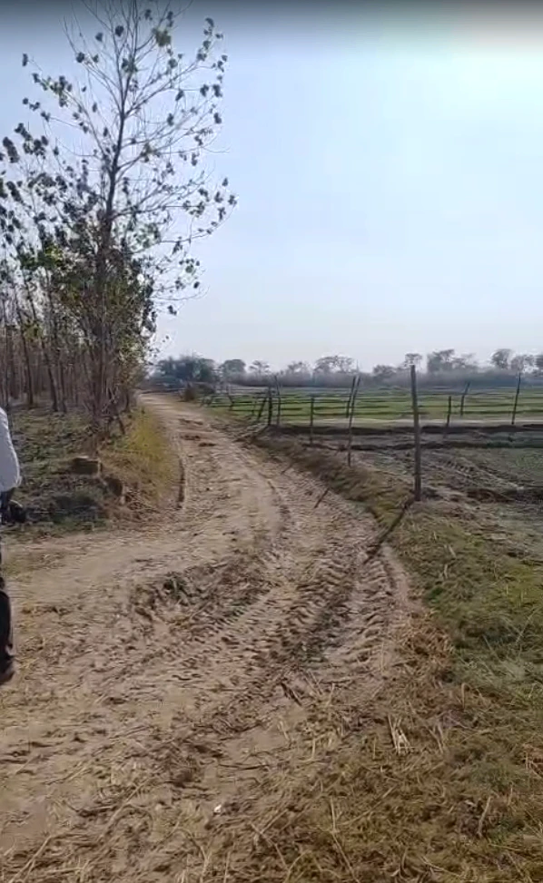 Biswan, Uttar Pradesh 261201, India