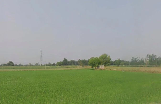 Hapur, Uttar Pradesh 245101, India
