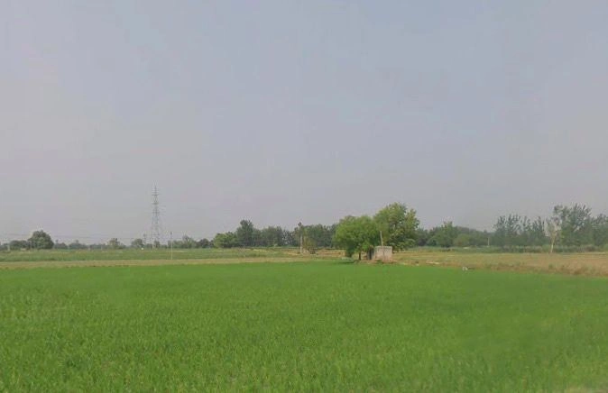 Hapur, Uttar Pradesh 245101, India
