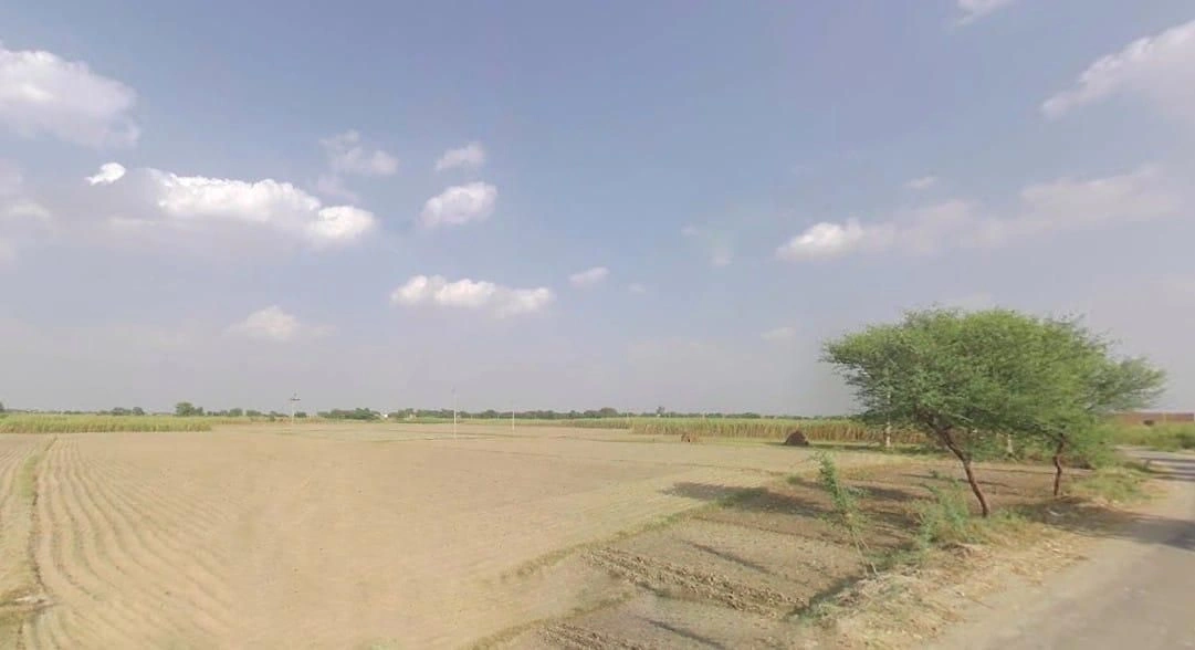 Bamboli, Rajasthan, India