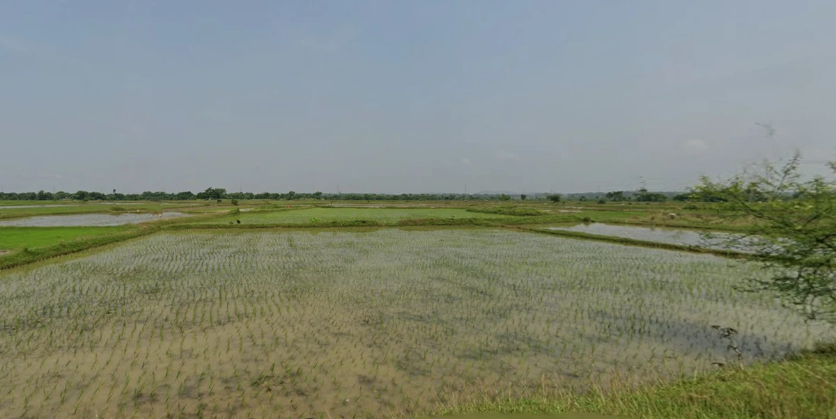 Chhatna, West Bengal 722132, India