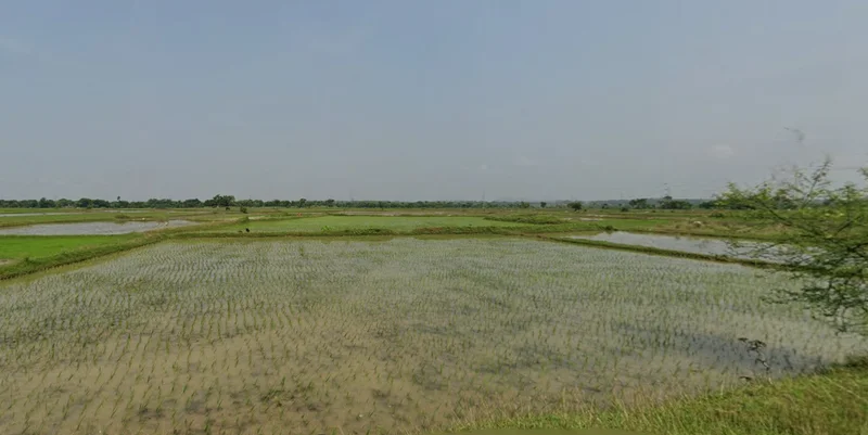 Chhatna, West Bengal 722132, India preview 3