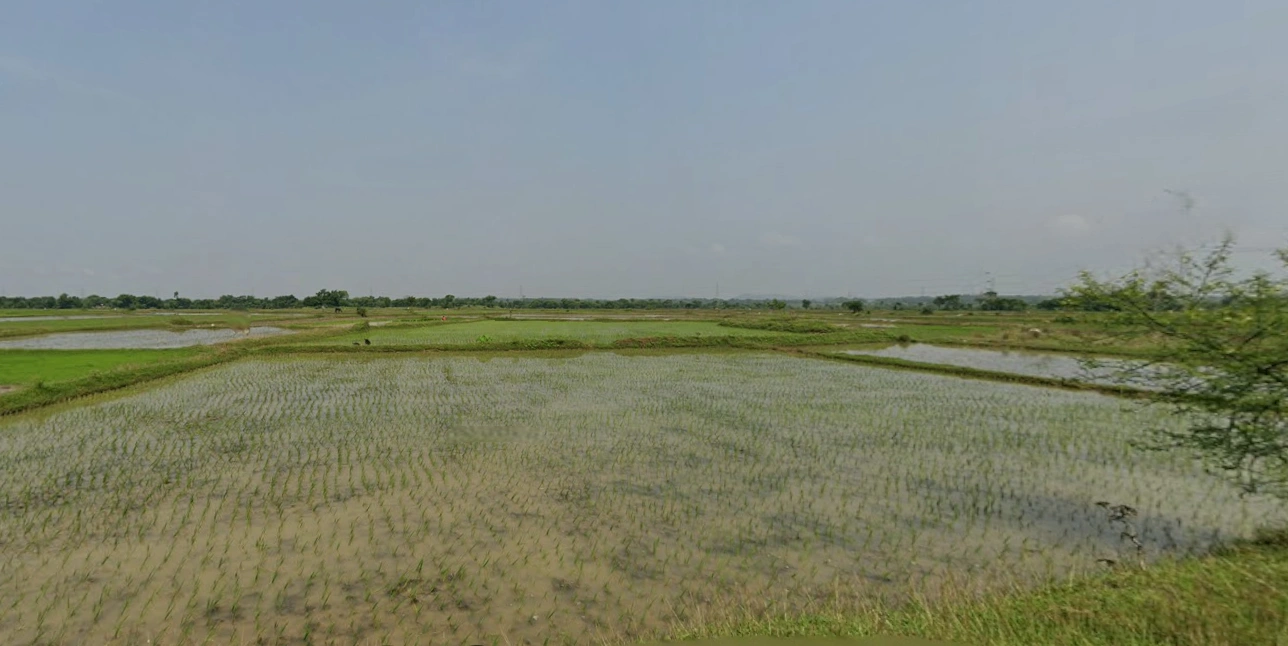 Chhatna, West Bengal 722132, India