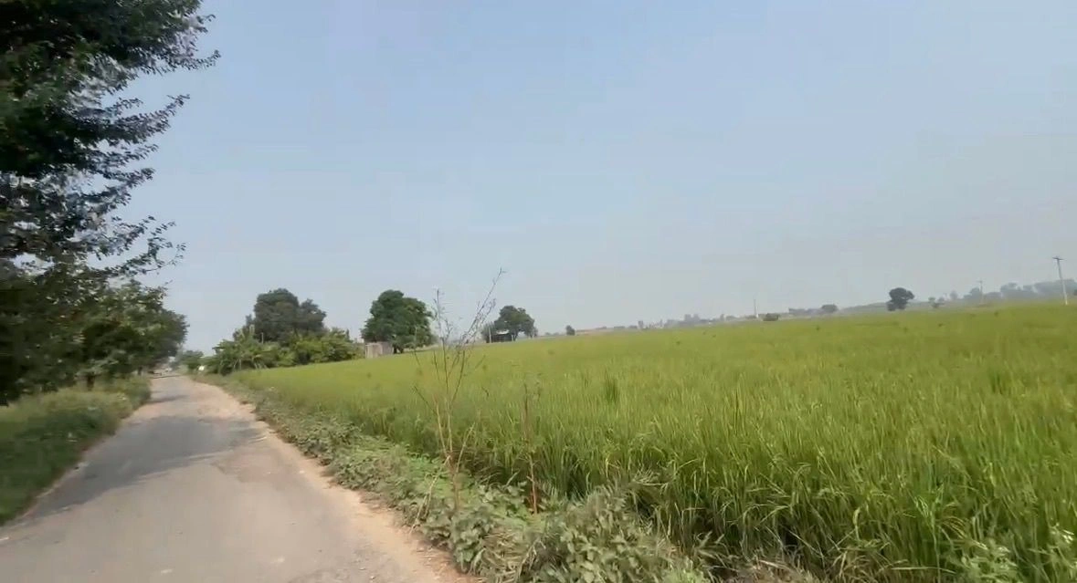 Dhodpur, Samalkha, Panipat, Haryana, India