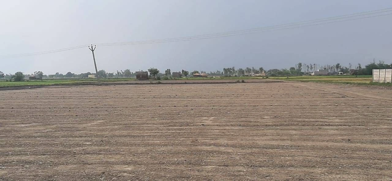 Jaswantnagar, Uttar Pradesh 206245, India