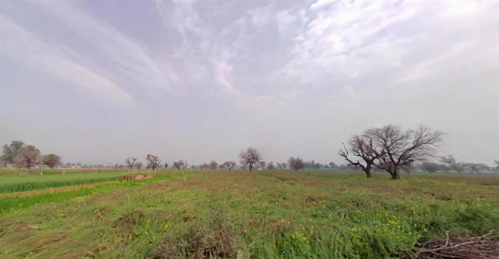 FRR8+C99, Jugrawar, Rajasthan 301001, India