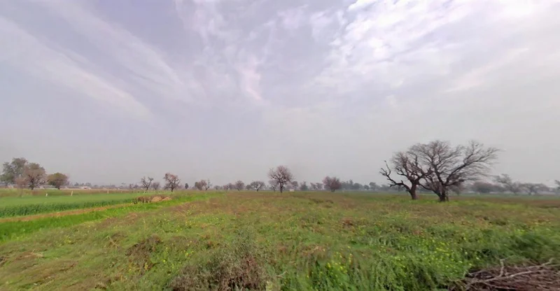 FRR8+C99, Jugrawar, Rajasthan 301001, India preview 3