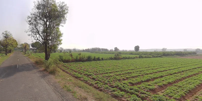 Shertha, Gujarat, India preview 3