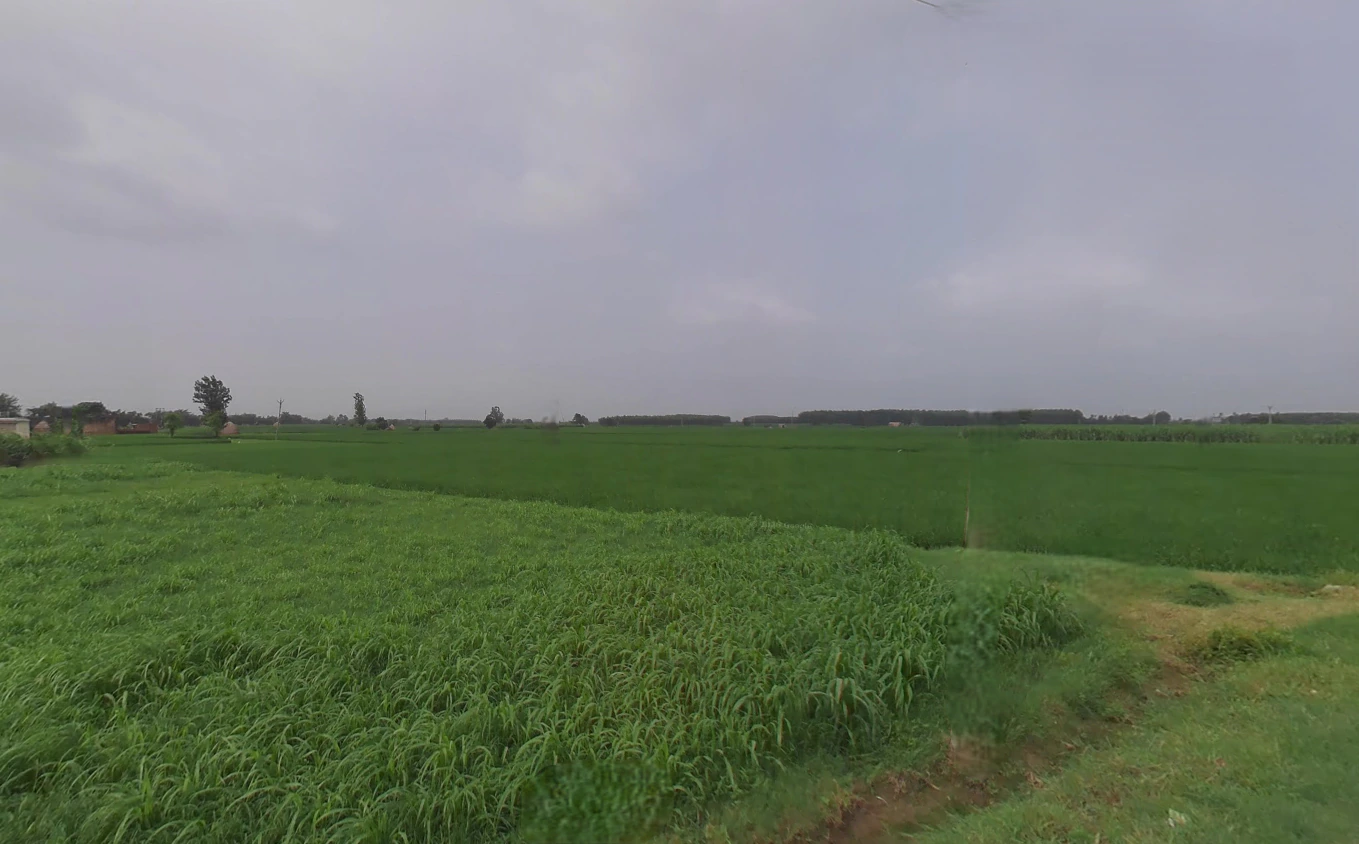 Nahan, Himachal Pradesh 173001, India