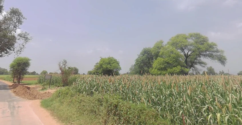 Mala Khera, Rajasthan 301406, India