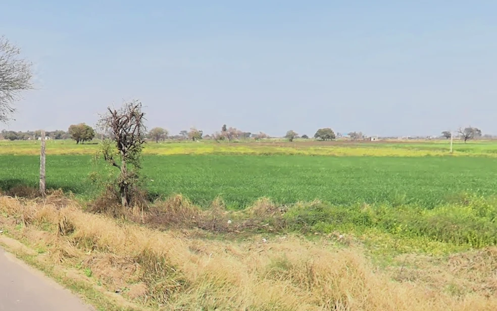 Zahidpur, Haryana 124103, India