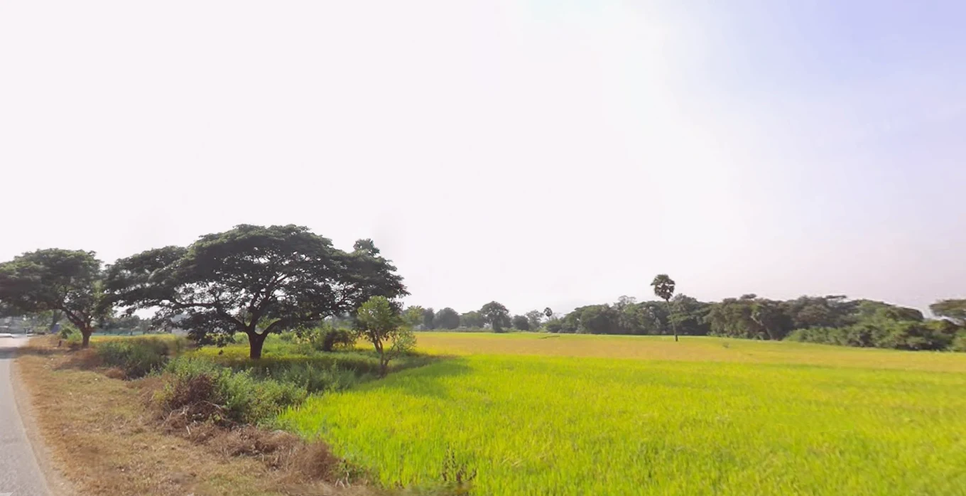 Chantipali, Odisha 768226, India