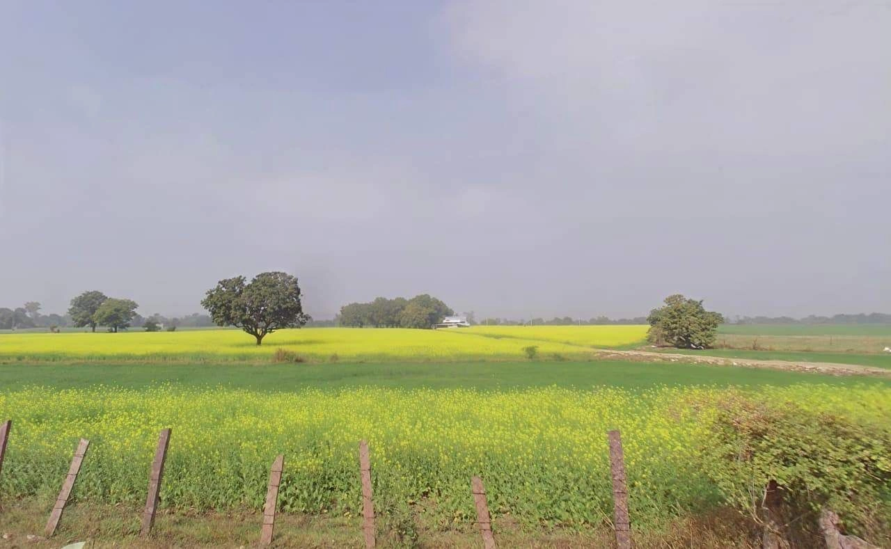 Bamhori, Madhya Pradesh 464551, India