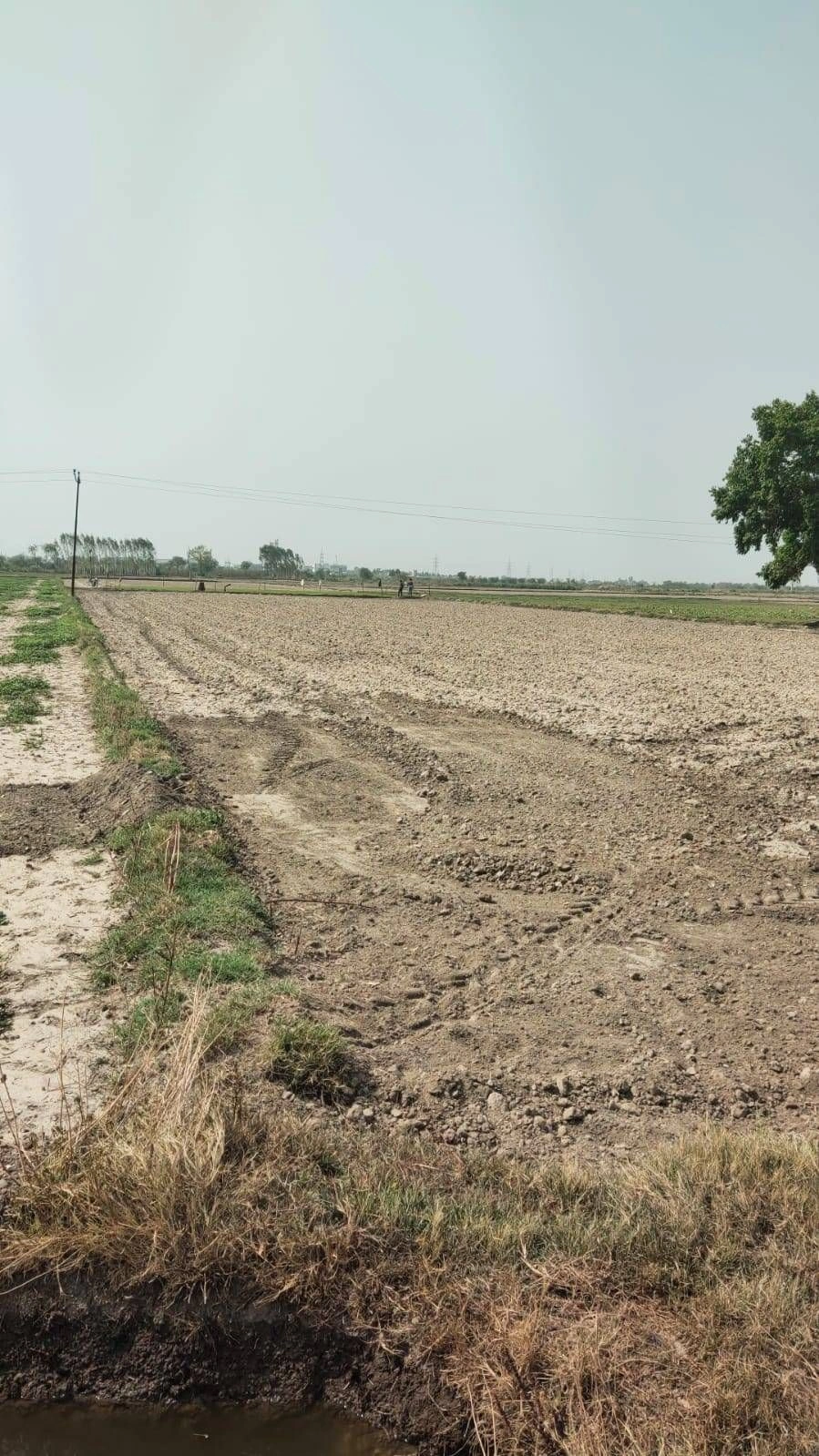 Chainpuriya, Rajasthan 311604, India