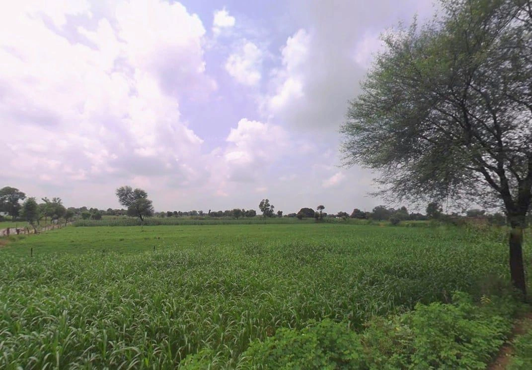 Salempura, Rajasthan 303511, India