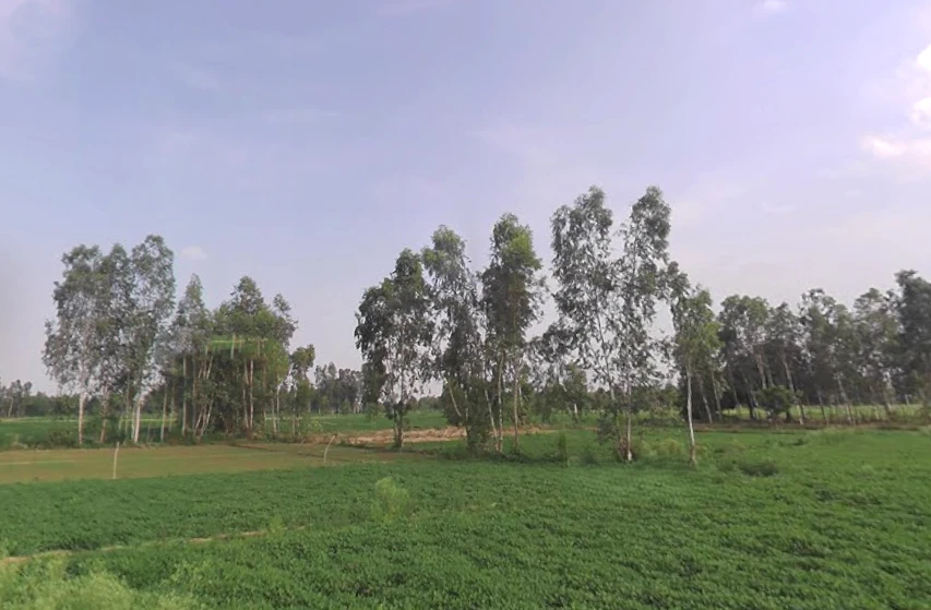 Parashurampuri, Uttar Pradesh 242221, India