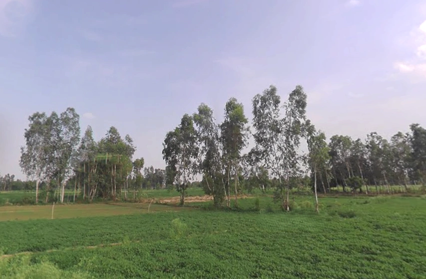 Parashurampuri, Uttar Pradesh 242221, India