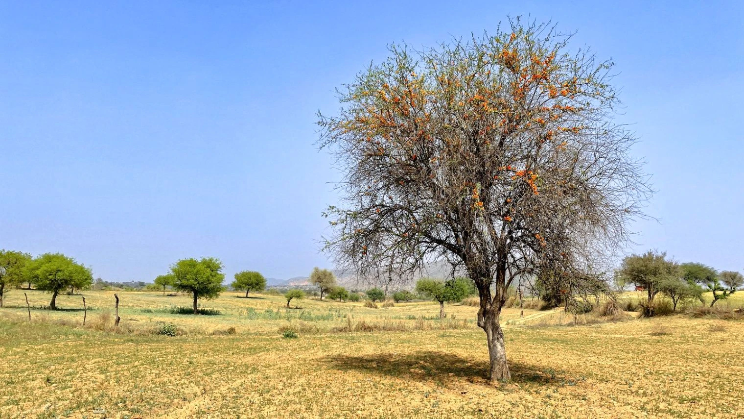 Ramgarh, Rajasthan 301026, India
