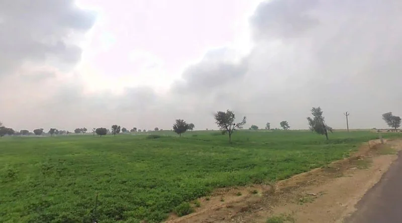 Arjansar, Rajasthan 334604, India preview 2