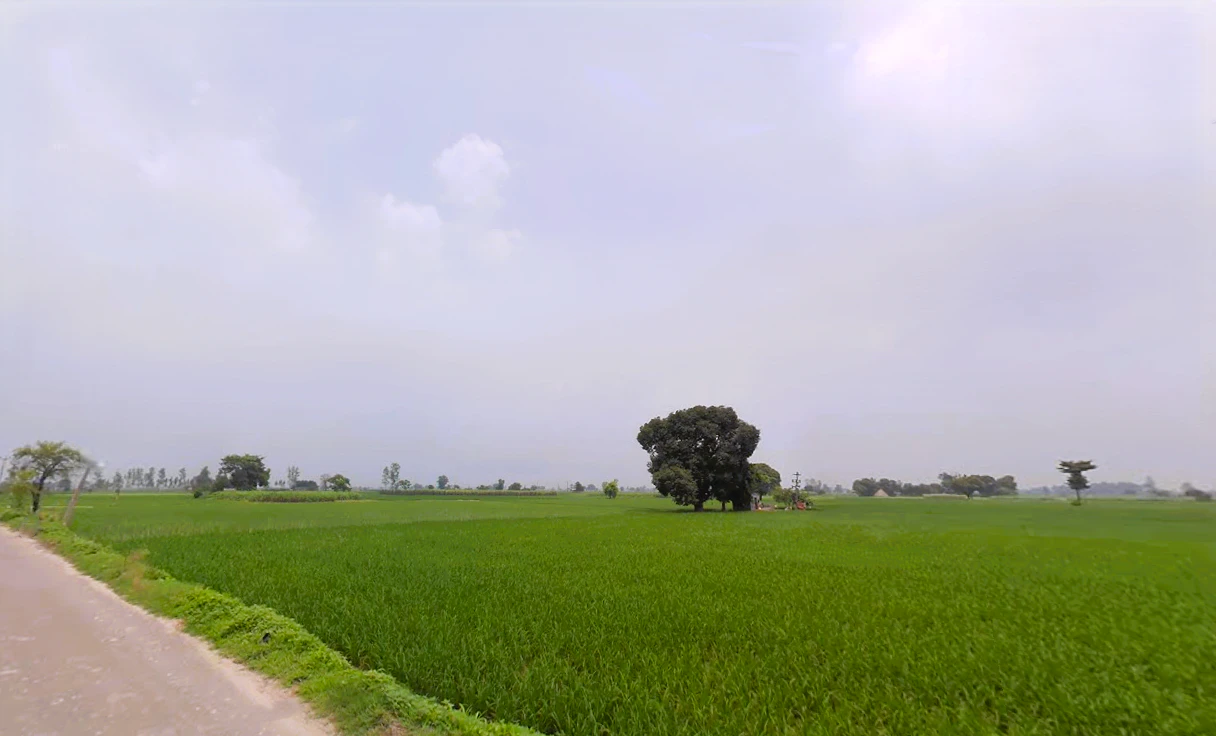 Ballah, Haryana 132040, India