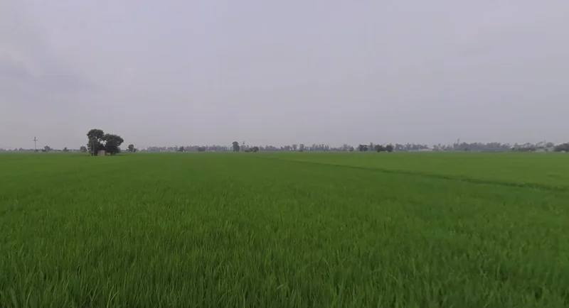 8Q9R+35 Rajkot, Gujarat, India preview 3