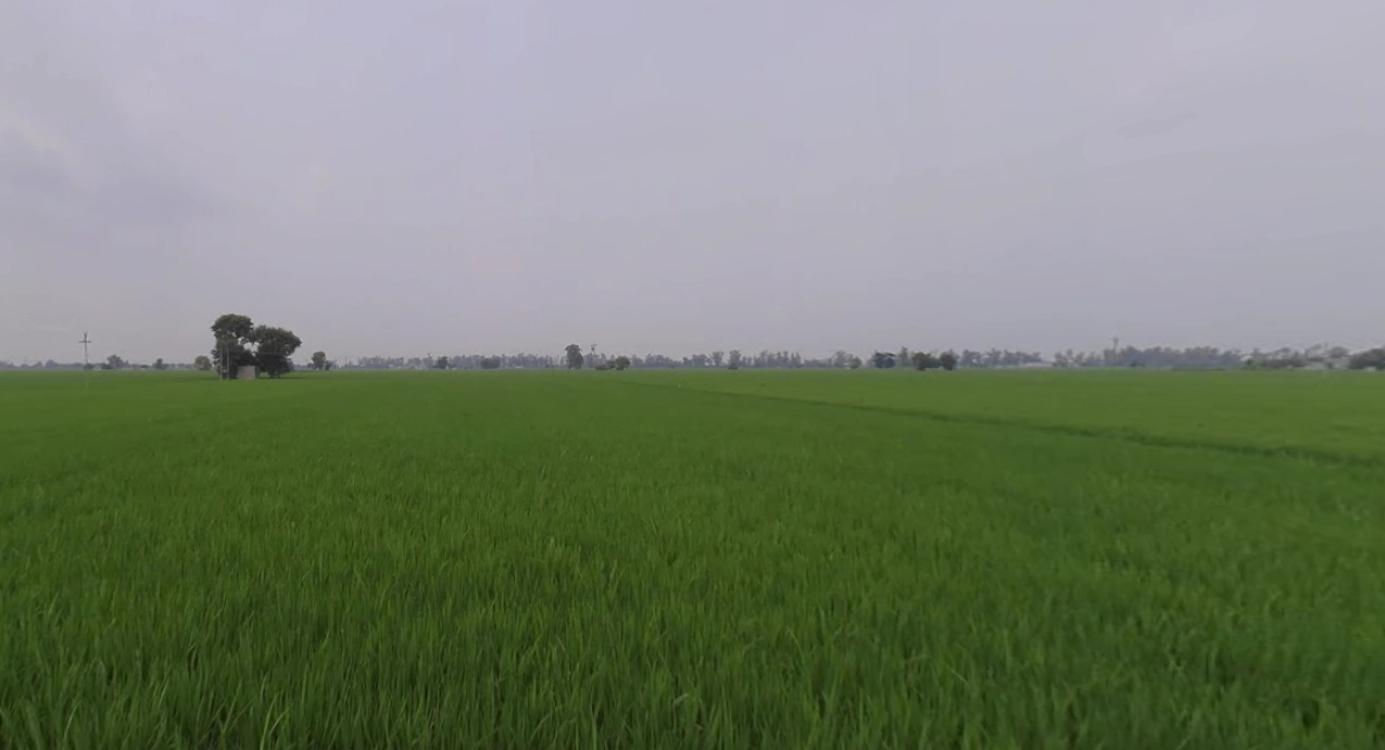 8Q9R+35 Rajkot, Gujarat, India