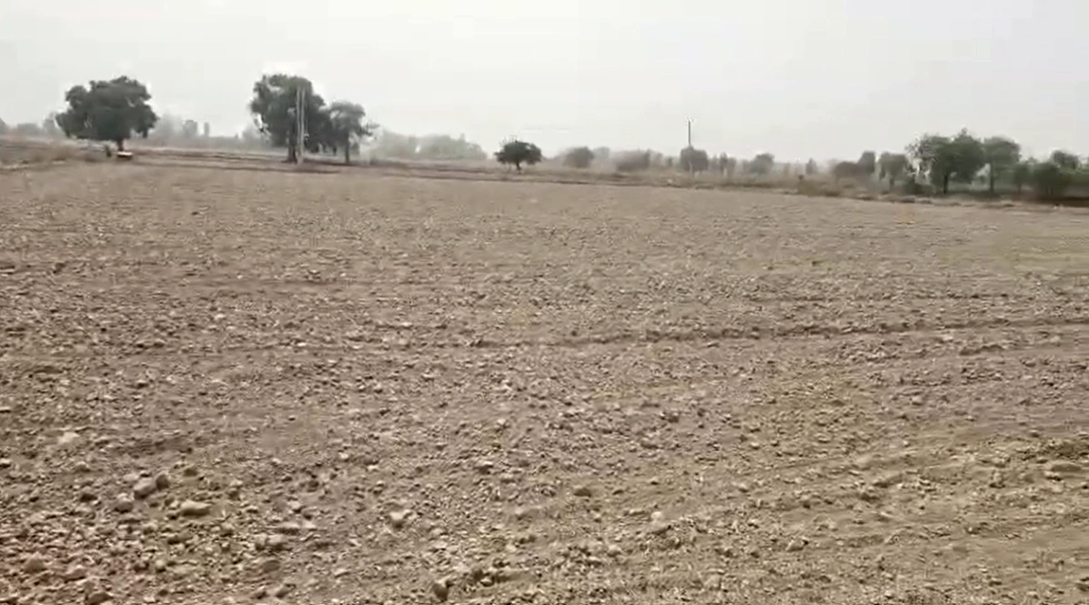 FW6C+7Q Sajiya, Tonk, Rajasthan, India
