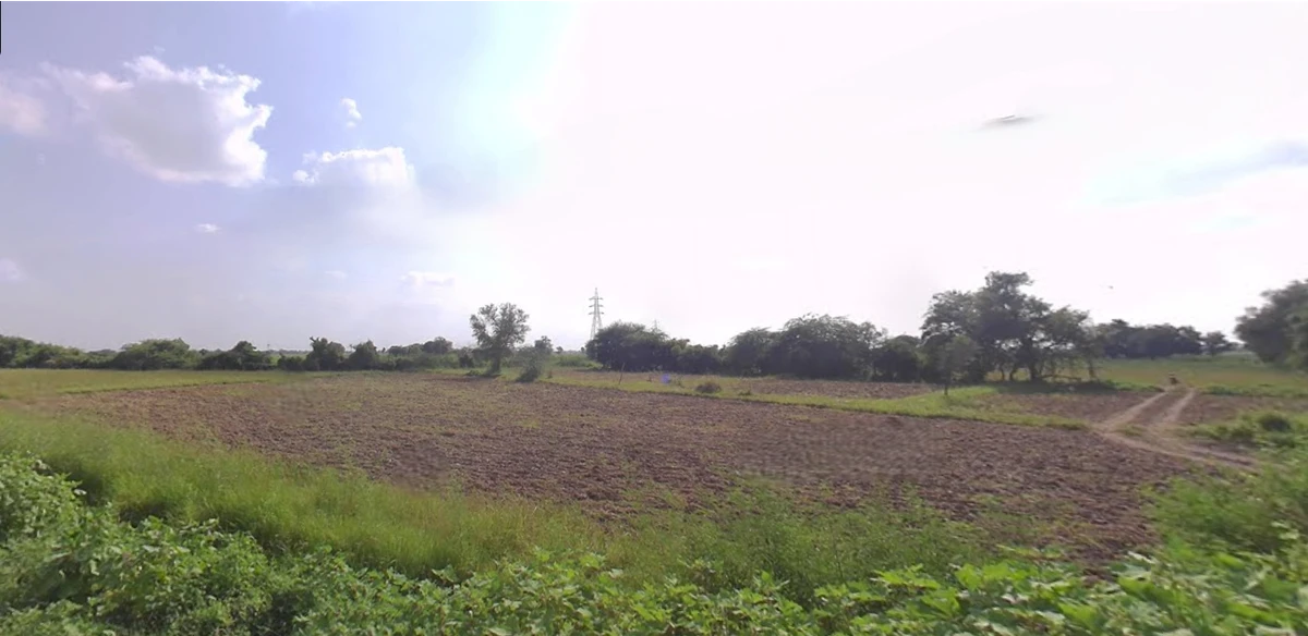 W55J+64 Daduka, Gujarat, India