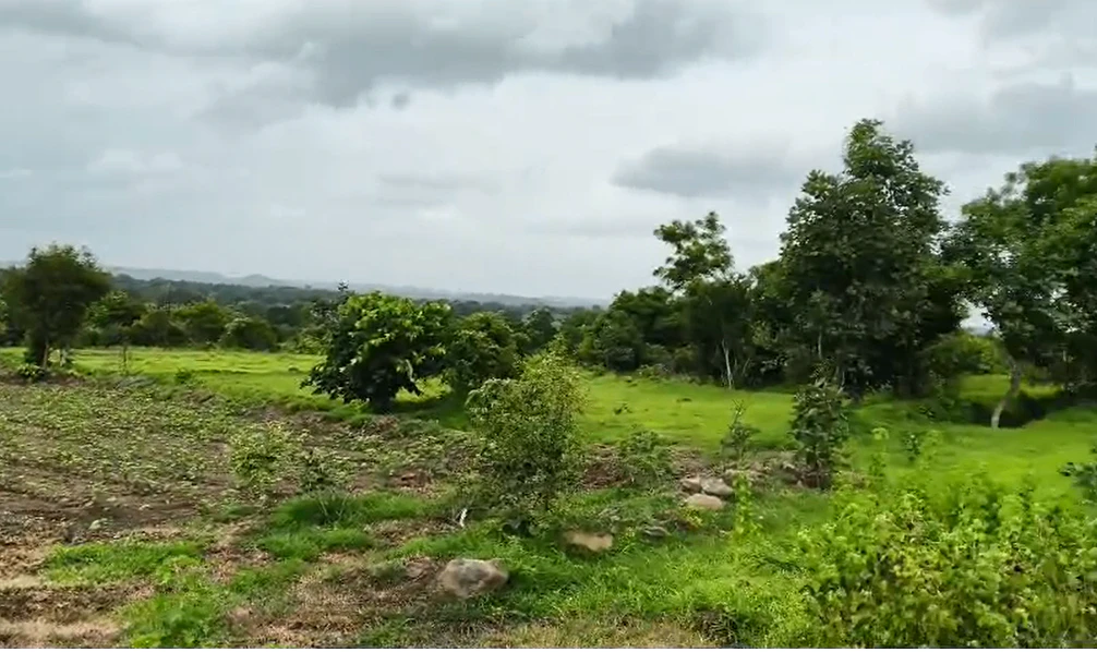 9PMW+9R4, Vikarabad, Kotpalli, Telangana 501106, India