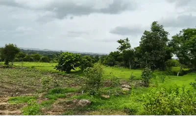 9PMW+9R4, Vikarabad, Kotpalli, Telangana 501106, India preview 2